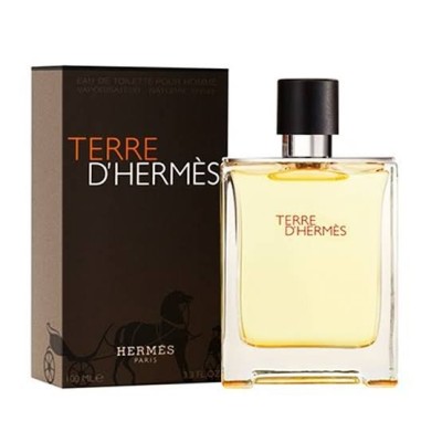 Hermes Terre D’hermes EDT 100ML for Men